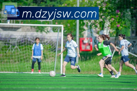 开云kaiyun官网荣誉